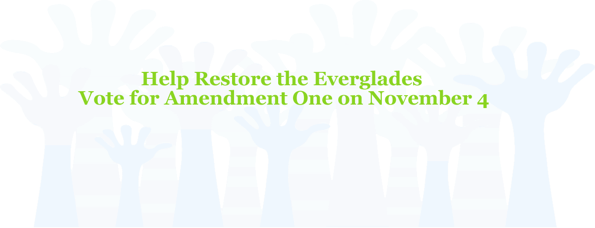 Vote Amendment One on Nov 4 to Help the Everglades